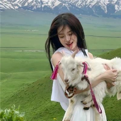 小猫熊历险记